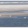 Berck 25-05-26 1342
