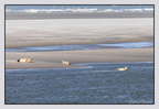 Berck 25-05-26 1342