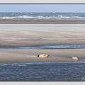 Berck 25-05-26 1343