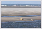 Berck 25-05-26 1343