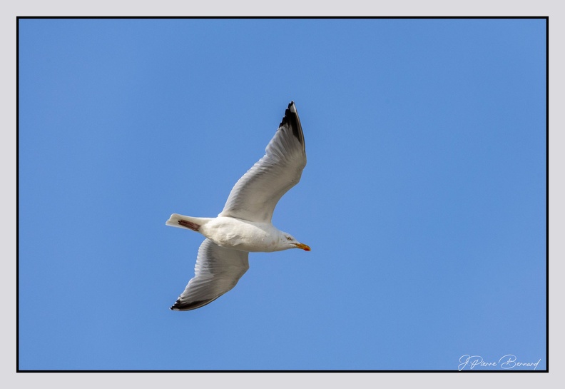 Berck_25-05-26_1348.jpg