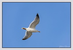Berck 25-05-26 1348