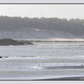 Berck 25-05-26 1350