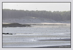 Berck 25-05-26 1350