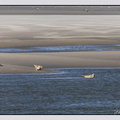 Berck 25-05-26 1360