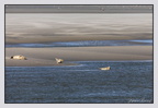 Berck 25-05-26 1360