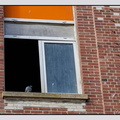 Berck 25-05-26 1391