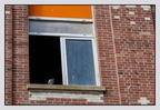Berck 25-05-26 1391