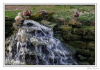 MenagerieJardinPlantes 25-03-20 0139