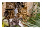 DoueLaFontaine 23-09-17 15