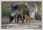 HauteTouche 22-04-23 0096 (1494 visites) HauteTouche 22-04-23 0096