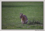 HauteTouche 22-04-23 0146 (1433 visites) HauteTouche 22-04-23 0146