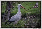 HauteTouche 22-04-23 0153 (1461 visites) HauteTouche 22-04-23 0153