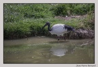 HauteTouche 22-04-23 0170 (1505 visites) HauteTouche 22-04-23 0170