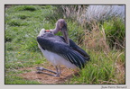 HauteTouche 22-04-23 0171 (1502 visites) HauteTouche 22-04-23 0171