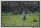HauteTouche 22-04-23 0191 (1381 visites) HauteTouche 22-04-23 0191