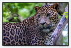 Pdf 14-04-24 3424 (2025 visites) Pdf 14-04-24 3424