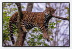 Pdf 14-04-24 3521 (2101 visites) Pdf 14-04-24 3521