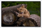 Pdf 14-04-24 3571 (2051 visites) Pdf 14-04-24 3571