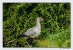 PairiDaiza 23-05-23 1622