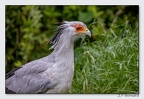 PairiDaiza 23-05-23 1628