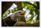 PairiDaiza 23-05-23 1638