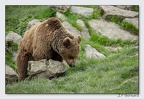 PairiDaiza 23-05-23 1676