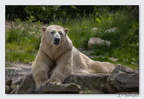 PairiDaiza 23-05-23 1789