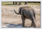 PairiDaiza 23-05-23 1808