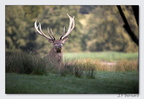SainteCroixAout23 23-08-30 0005 (1731 visites) SainteCroixAout23 23-08-30 0005