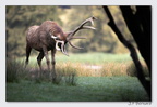 SainteCroixAout23 23-08-30 0006 (1409 visites) SainteCroixAout23 23-08-30 0006