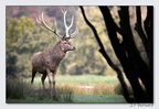 SainteCroixAout23 23-08-30 0008 (1369 visites) SainteCroixAout23 23-08-30 0008