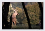 SainteCroixAout23 23-08-30 0011 (1299 visites) SainteCroixAout23 23-08-30 0011