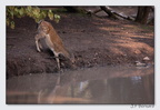 SainteCroixAout23 23-08-30 0035 (1393 visites) SainteCroixAout23 23-08-30 0035