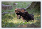 SainteCroixAout23 23-08-30 0154 (1377 visites) SainteCroixAout23 23-08-30 0154