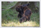 SainteCroixAout23 23-08-30 0221 (1186 visites) SainteCroixAout23 23-08-30 0221