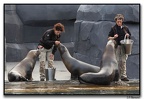 ZooVincenne23.10.14023