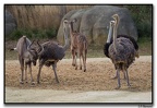 ZooVincenne23.10.14112
