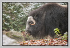 ZooMulhouse 21-11-26 0301