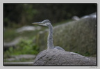 ZooMulhouse 21-11-26 0377