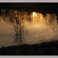 IMGP0674