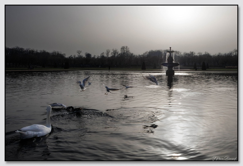 Insta_Fontainebleau_26-03-07_0026.jpg