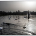 Insta Fontainebleau 26-03-07 0026