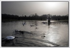 Insta Fontainebleau 26-03-07 0026