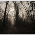 Insta Fontainebleau 26-03-08 0037