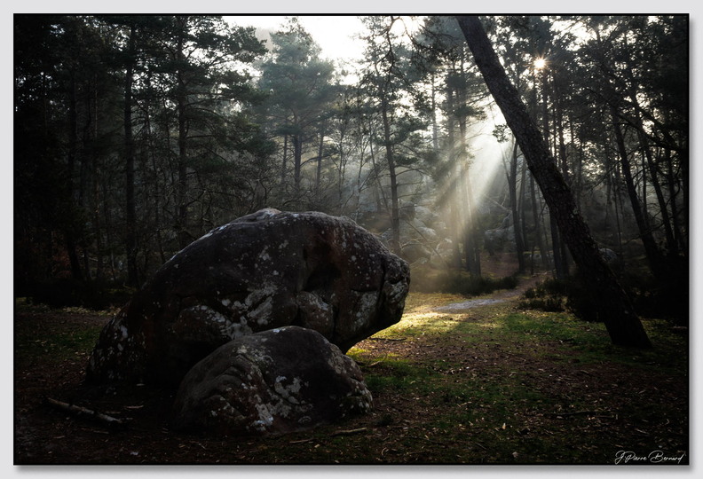 Insta_Fontainebleau_26-03-08_0044.jpg