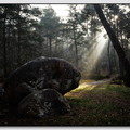 Insta Fontainebleau 26-03-08 0044