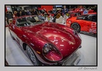 Retromobile 24-02-02 3536 (674 visites) Retromobile 24-02-02 3536