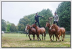 StMeardAout25 25-08-31 0782 (373 visites) StMeardAout25 25-08-31 0782