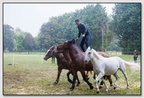 StMeardAout25 25-08-31 0813 (432 visites) StMeardAout25 25-08-31 0813